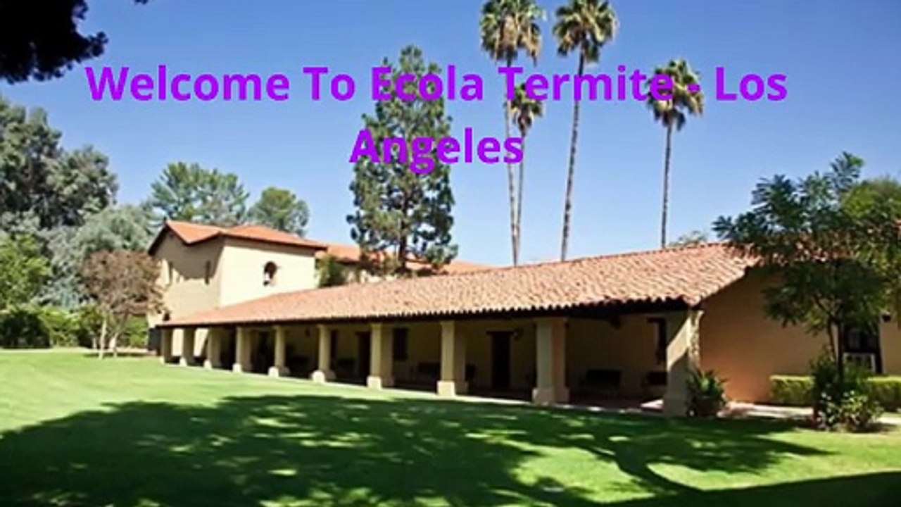 Ecola Termite - Pest Control in Mission Hills, CA