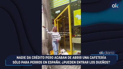 Nadie da crédito pero acaban de abrir una cafetería sólo para perros en España: ¿Pueden entrar los dueños?