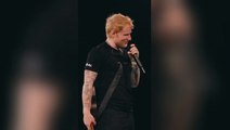 Ed Sheeran pauses show after couple break up in awkward moment