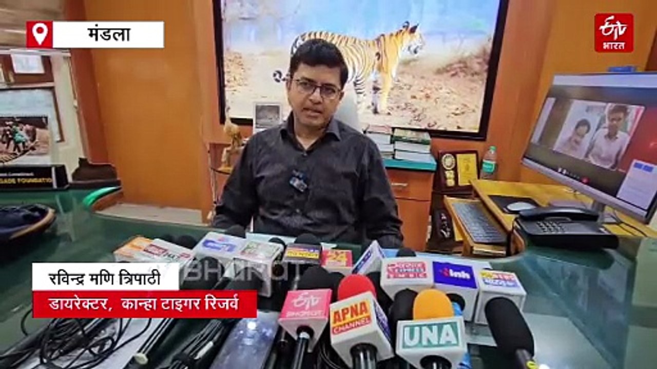 मंडला में लगा हाथियों का ब्यूटी पार्लर, नहला धुलाकर किया गया मेनिक्योर पेडिक्योर