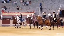 ana rita