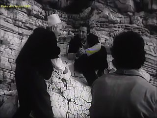 Plaku dhe hasmi (1981)