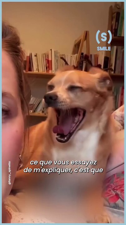 Tout comme @fanny_spinetta, profitez bien de vos loulous aujourd’hui, c’est la Journée international