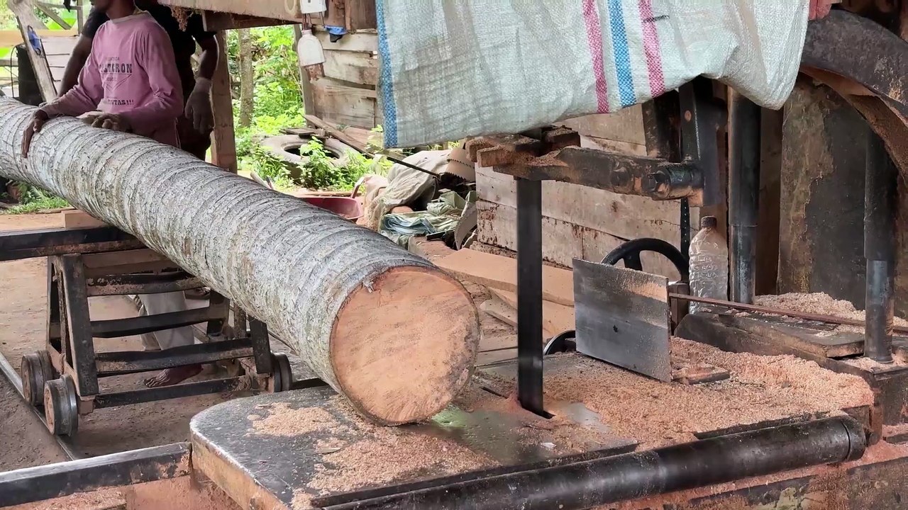 Coconut Wood Sawmill 5x12 Process and Final Results