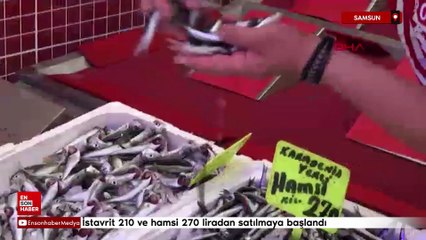 Samsun'da av sezonun ilk balıkları tezgaha çıktı