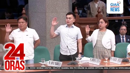 Sarah Discaya, inaming may kaugnayan sa 9 na kumpanyang may kontrata sa gobyerno | 24 Oras