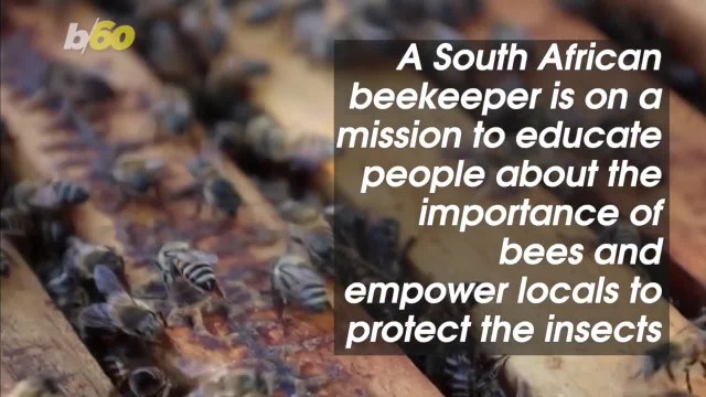 Empowering and Educating Women on the Importance of Bees!