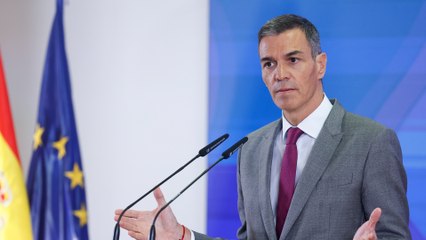 Sánchez anuncia nueva agencia de protección y más recursos en propuesta de pacto de Estado