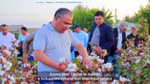 Vi presentiamo lo scienziato uzbeko pioniere delle scoperte genetiche nei settori del cotone