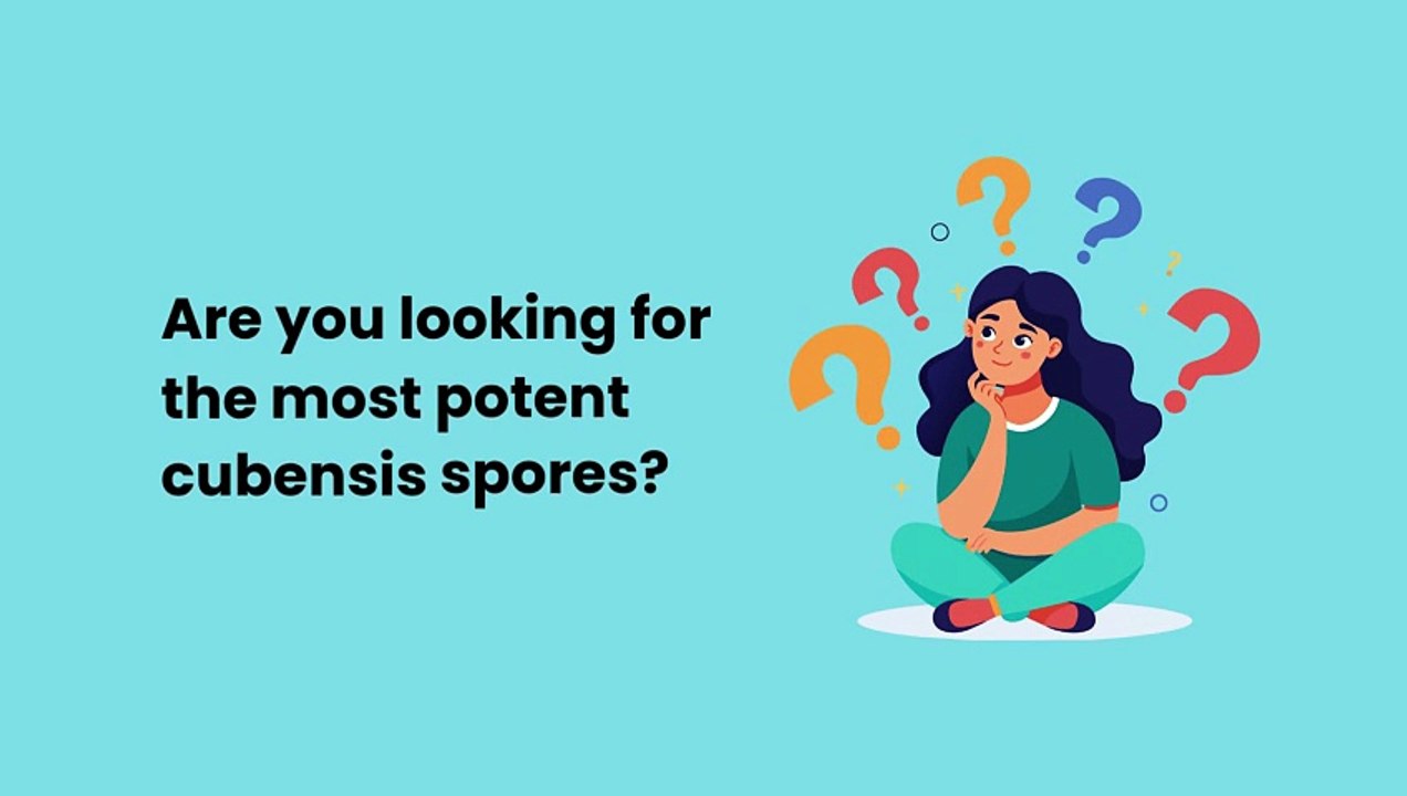 Blue Meanie Mushroom Spores | Blue Meanie Liquid Culture | Quality Spores