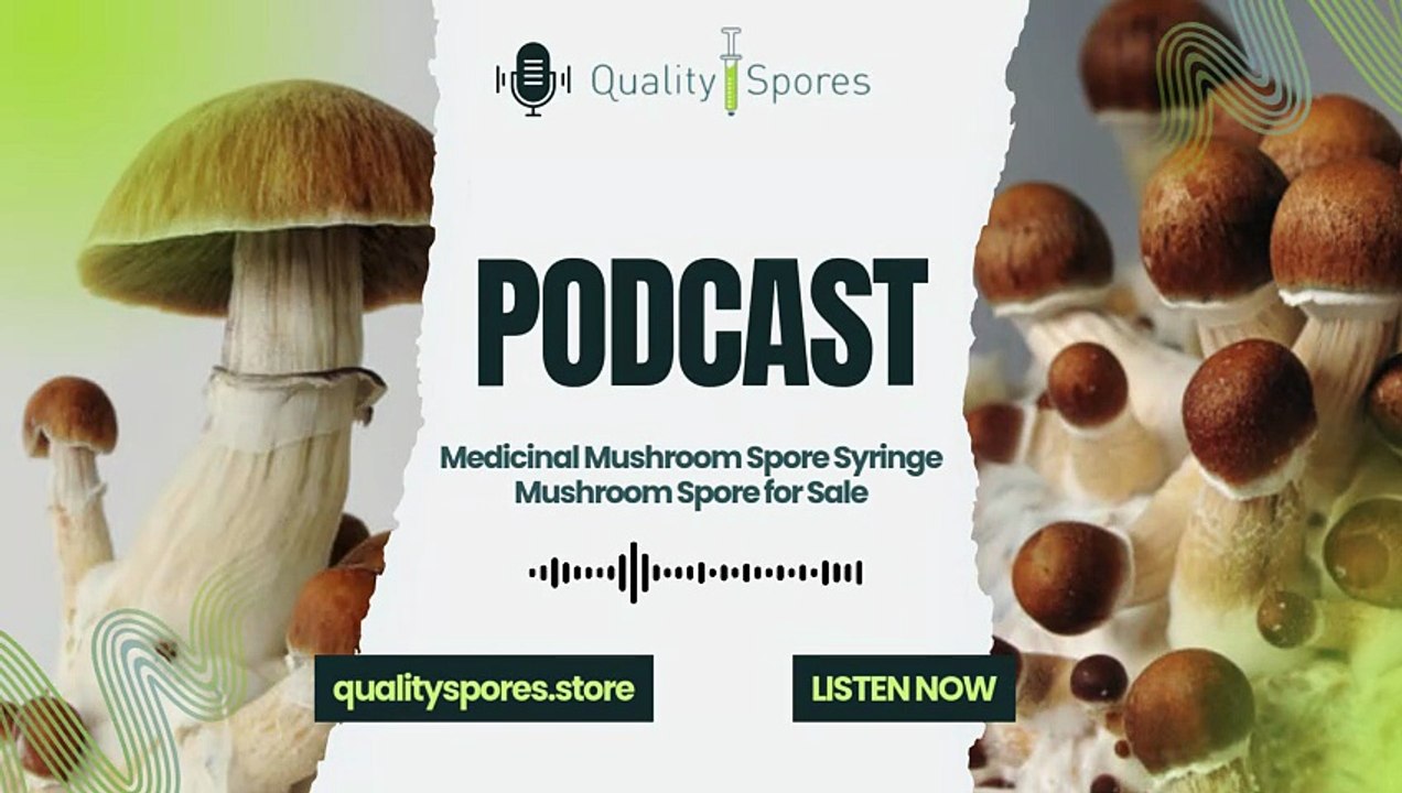 Medicinal Mushroom Spores|Medicinal Mushroom Spore Syringe Online|Mushroom Spore for Sale