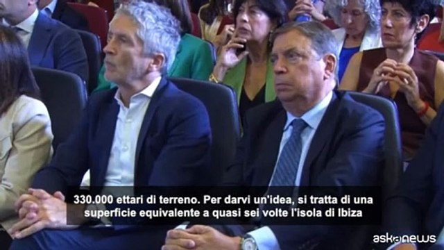 Sanchez dopo gli incendi in Spagna: il cambiamento climatico uccide