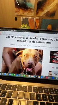 OBemdito discute o caso cruel da cadela morta a facadas em Umuarama