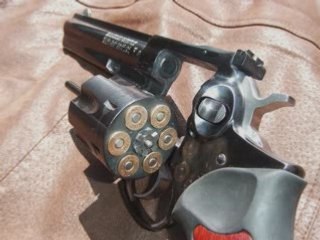 Ruger Gp100 (pictures)