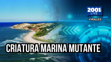 Criatura marina mutante desconcierta a pescadores y cientificos en EEUU