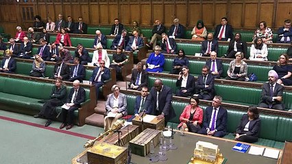 David Lammy Urges Immediate Ceasefire in Gaza 🇵🇸