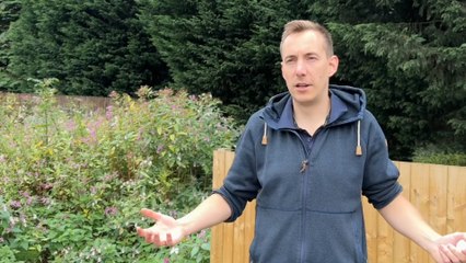 People on the street: How would YOU win the Great British Bake-Off?