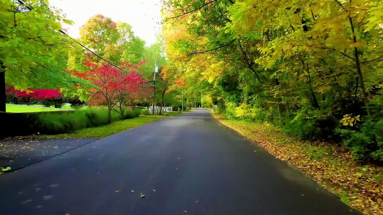 Gentle Healing Music • Calm the Nervous System, Soothe the Heart & Restore Emotional Harmony #58