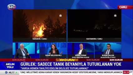 Kastamonu ve Karabük'te orman yangını