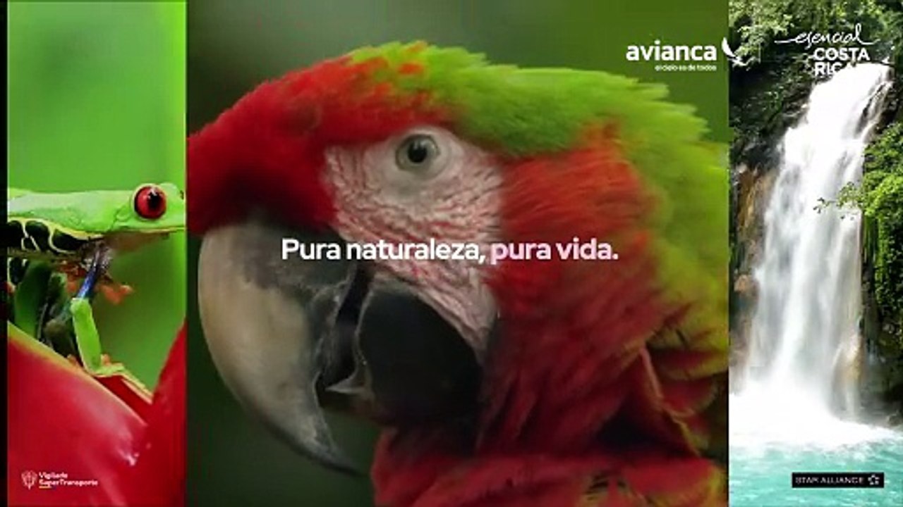 AVIANCA_CO_Horizontal_1920x1080_20seg_SEPT 2025