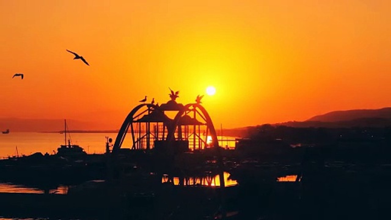 Serene Waterfront Sunset with Birds Silhouettes - 4K