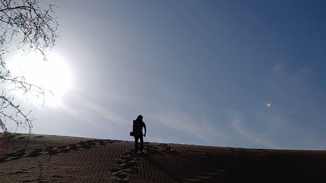 Thar Desert, Rajasthan India