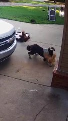 supportive and caring cut  discovering funny news