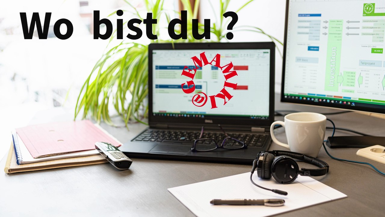 🎸 🎶Eine Meisterin der Tarnung😎🧐 -Mix😅