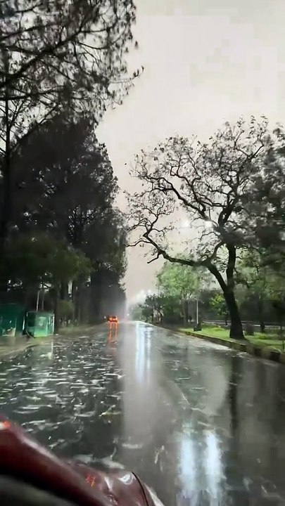 🌧️ Rainy Forest Ambience | Relaxing Nature Sounds 🌿