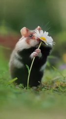 People without artiestic cells really can't appreciate