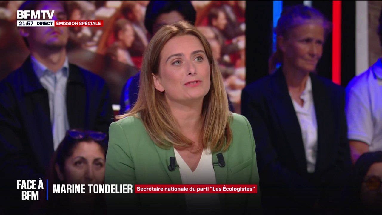 Pour Marine Tondelier (Les Écologistes), "François Bayrou est en train de faire une tournée d'adieu aussi longue que celle de Michel Sardou"