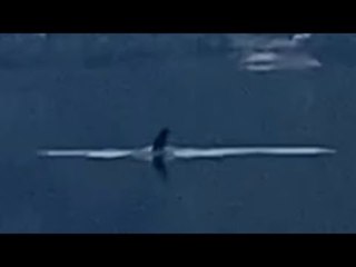 Man Believes He Recorded Loch Ness Monster