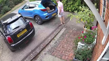 Dog Mistakenly Jumps on Closed Trunk Door of Car to Enter Inside