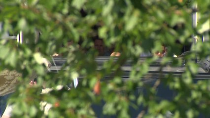 Trump Spotted Back at the White House Following Golf Round