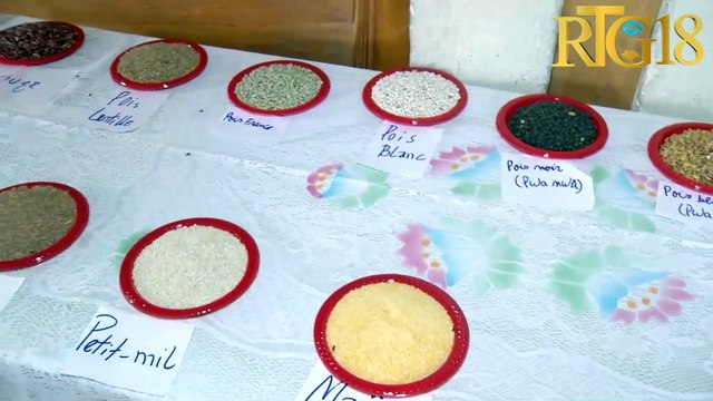 Etidyan finisan Ecole Normale Supérieure nan UEH òganize 3èm edisyon jounen syantifik yo