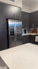 Man Vanishes In Magic Trick, Cat Shocked