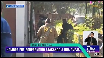 Lo sorprendieron abusando de una oveja y ahora enfrenta denuncia