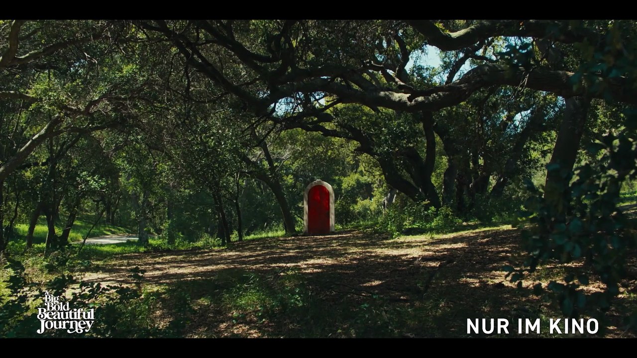 A Big Bold Beautiful Journey Film