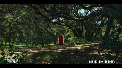 A Big Bold Beautiful Journey Film