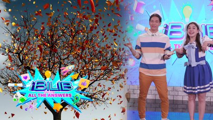 iBilib: The hidden reason why leaves change color