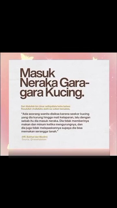 Masuk Neraka Gara Gara Kucing