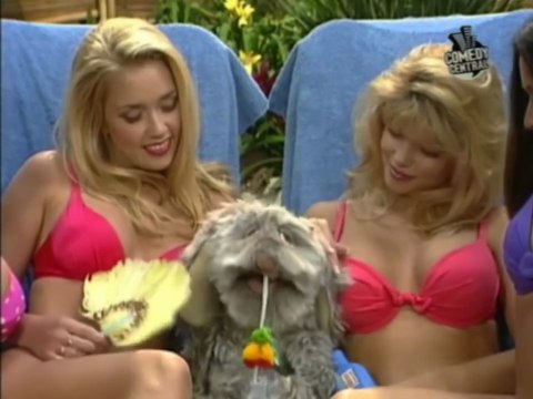 Auf schlimmer und ewig Staffel 2 Folge 8 Aus Feind mach’ Freund #Deutsch #HD