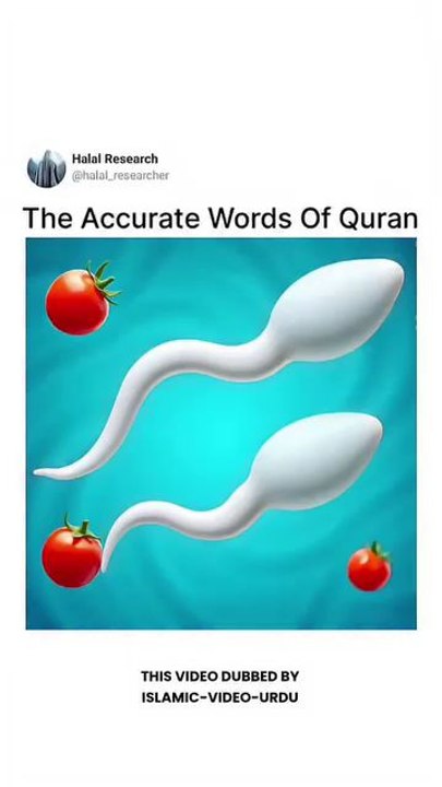The Accurate Words of Quran
