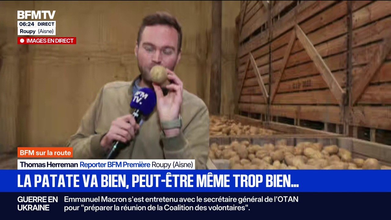 Face à un niveau de production record de pomme de terre, des industriels bradent les prix et provoquent la colère des producteurs