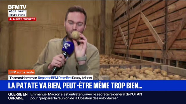 Face à un niveau de production record de pomme de terre, des industriels bradent les prix et provoquent la colère des producteurs