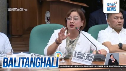 Sarah Discaya - Contractor kami ng DPWH flood control projects simula 2016 | Balitanghali