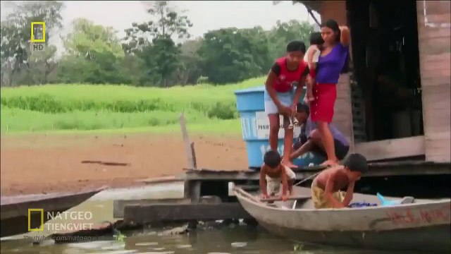 Amazon Nơi Có Những Loài Động Vật Nguy Hiểm Nhất