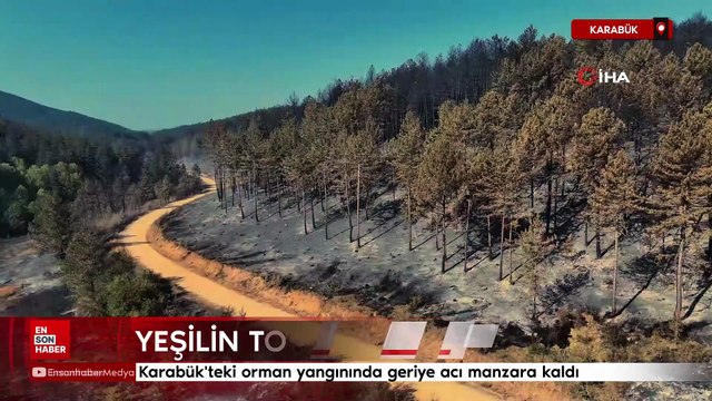 Karabük'teki orman yangınında geriye acı manzara kaldı