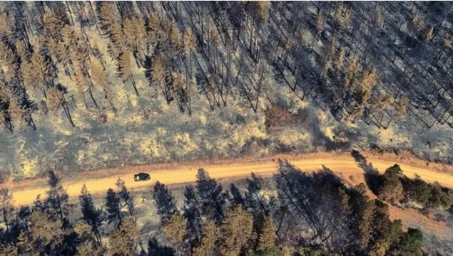 Karabük'teki orman yangınında geriye bu manzara kaldı