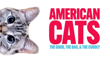 American Cats The Good the Bad and the Cuddly (2024) Full Movie HD